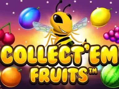 Coins Game Casino screenshot